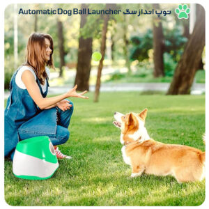توپ انداز سگ Automatic Dog Ball Launcher توپ انداز سگ Automatic Dog Ball Launcher